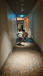 photo-output_0