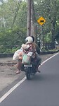 Scooter gewoontes