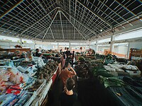 photo-output_0