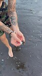 Beestjes op het strand