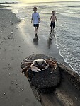 IMG_4165