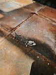 photo-output_4
