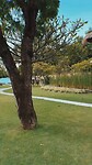 Villa Semadhi