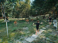 photo-output_9