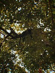 photo-output_8