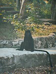 photo-output_2