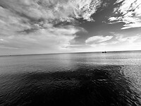IMG_5553