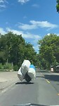 Zoals eerder gezegd, alles kan op een scooter