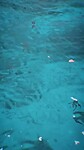 Snorkelen