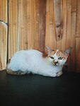 photo-output_2