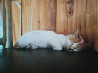 photo-output_1