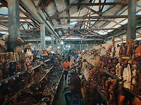 photo-output_7