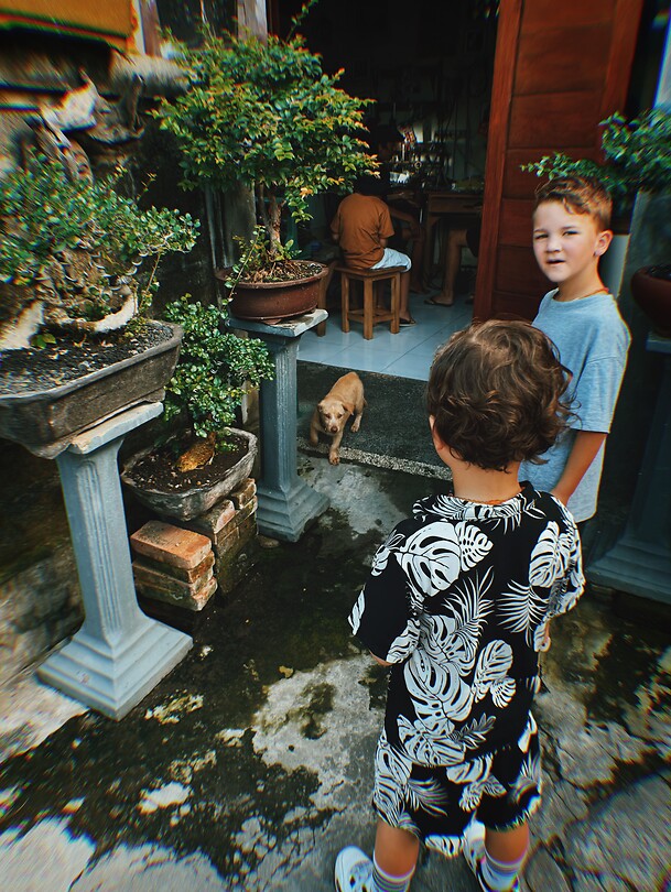 photo-output_4