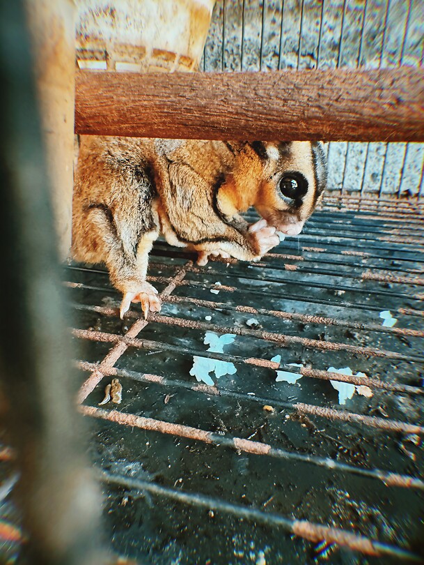 photo-output_3