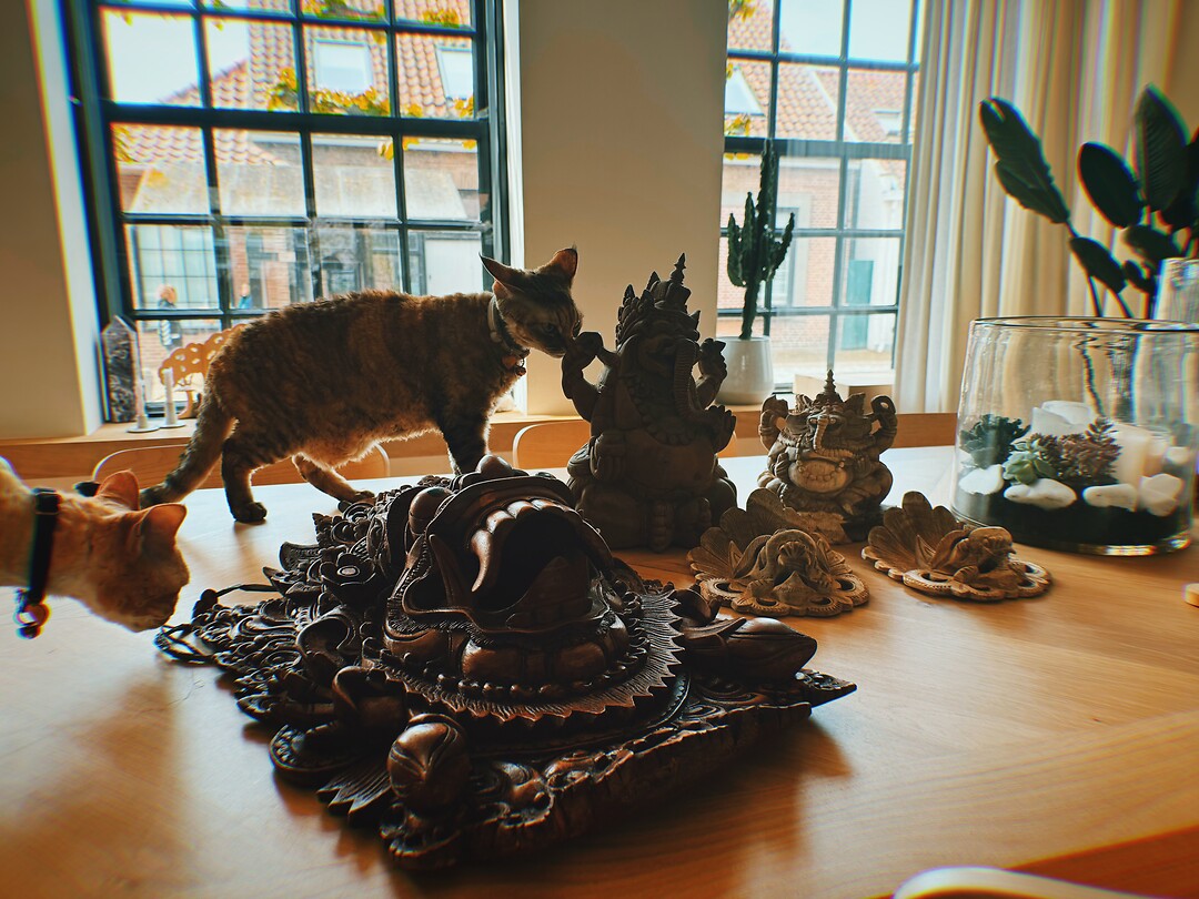 photo-output_0