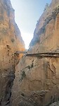 IMG_1785