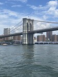 IMG_7651