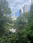 IMG_7834