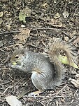 IMG_7838