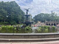 IMG_7856