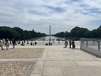 IMG_8519