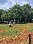IMG_8524