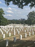 IMG_8601