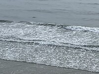 IMG_8707