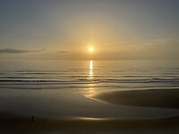 IMG_8788