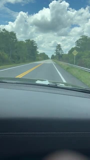 Tamiami Trail
