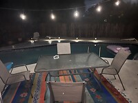 IMG_9250