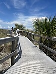 IMG_9271