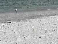 IMG_9278