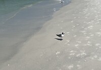 IMG_9282