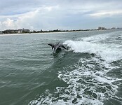 IMG_9353