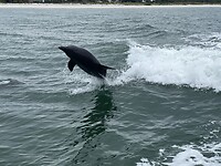 IMG_9358