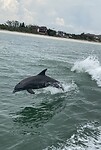 IMG_4521