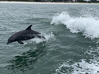 IMG_9360