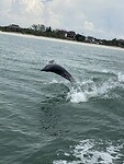 IMG_4522