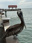 IMG_5928