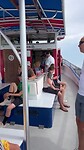 Little Toot 🛳️🐬