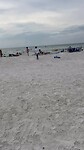 Clearwater Beach 🏖️