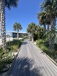 IMG_9500
