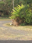 IMG_3692