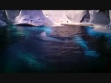 SeaWorld - Wild Arctic