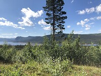 Laatste dag: onderweg naar Oslo airport
