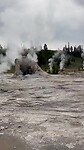 Yellowstone