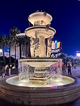 IMG_6210