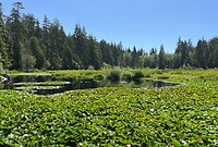 IMG_E0064
