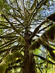 IMG_E0471